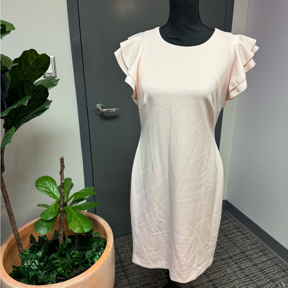 Elegant Ruffle Sleeve Dress in Light Pink